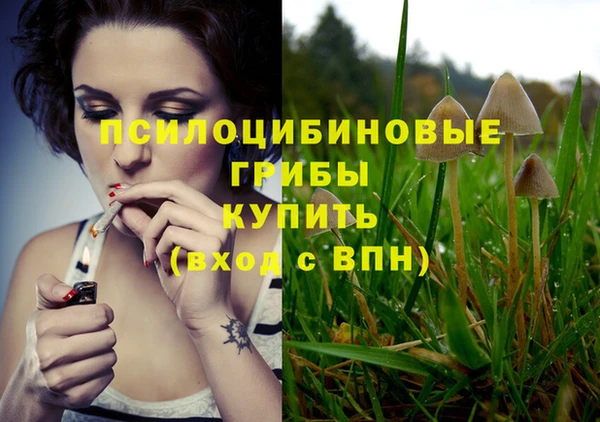 тгк Алексеевка