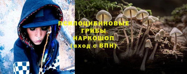 тгк Алексеевка
