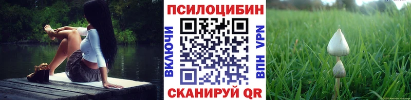 Псилоцибиновые грибы Psilocybe  blacksprut   Ардатов  где продают  